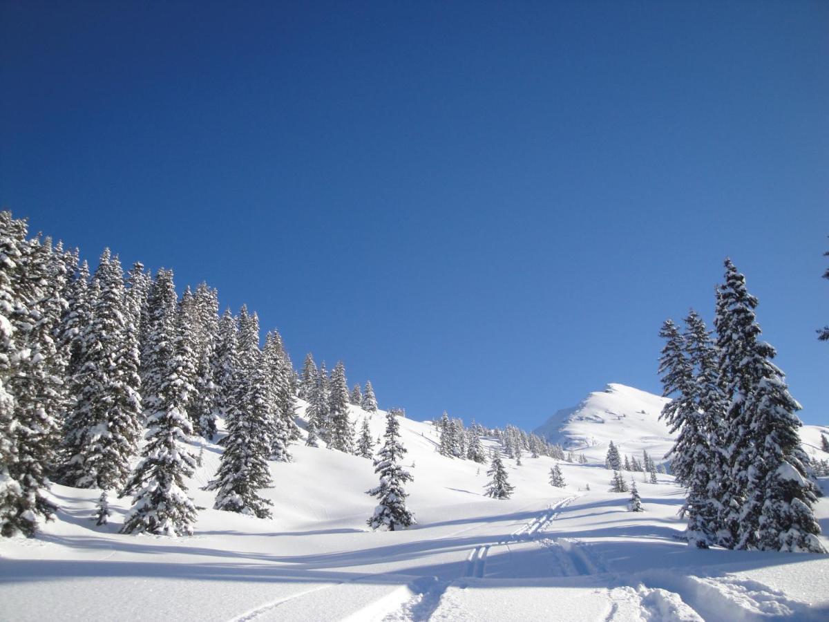 Apart Timeout Hart im Zillertal Exteriör bild